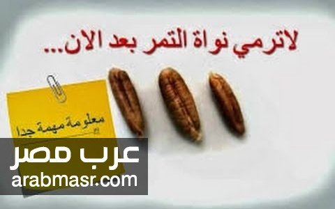 فوائد نواة التمر فوائد نواة التمر لا تحاول أن ترمي نواة التمر بعد الأن .. أتعلم لماذا ؟ اقرأ التقرير