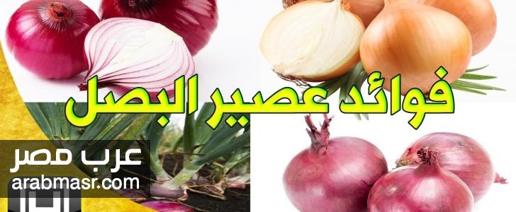 معلومات رائعة عن فوائد البصل معلومات رائعة عن فوائد البصل فى جسم الانسان تعرف عليها ببعض النصائح الهامة
