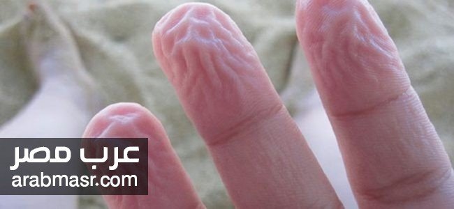 تسعة آليات دفاع تسعة آليات دفاع يقوم بها جسمك لحمايتك دون أن تشعر تعرف عليها الان