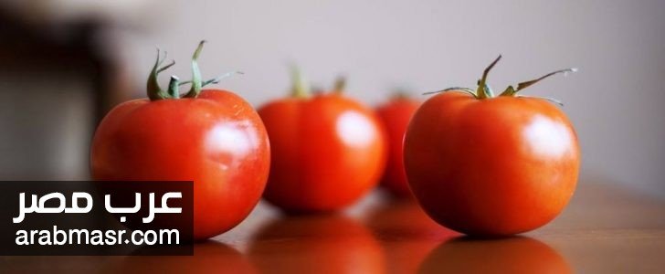 فائدة الطماطم للجسم فائدة الطماطم للجسم تعرفعلي فائدتها ستجعكم تتهافتون عليها بكثرة