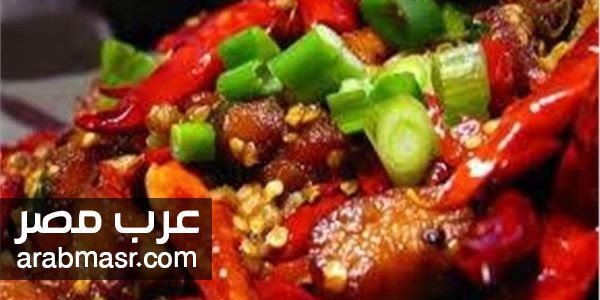 فوائد واضرار الاغذية الحاره فوائد واضرار الاغذية الحاره تعرف عليها الان وتاثيرها على الجسم من حيث الفائده والضرر